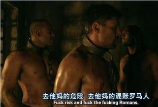 古罗马影视大全免费追剧,穿越时空的罗马帝国传奇